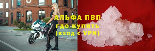 трава Арсеньев